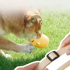 87af5732b6f5019b0f1ce215e4a23ca1
