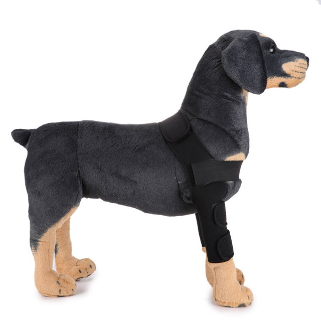 3d3b7766599943c78a3afc83c85fa51e